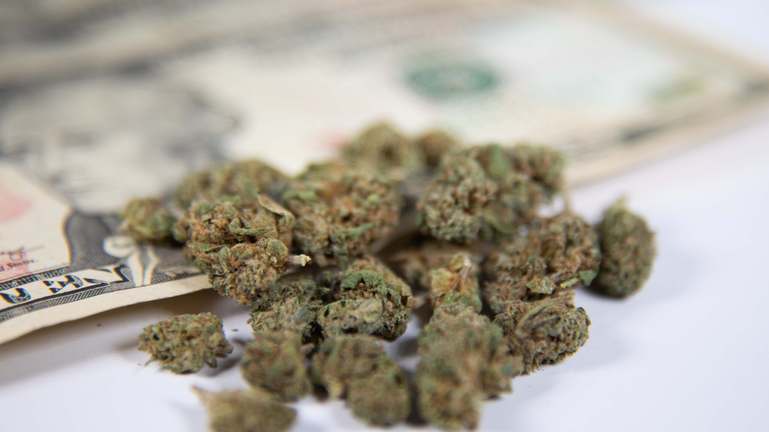 Turn Up the Heat on Savings with These Summer Cannabis Shopping Tips